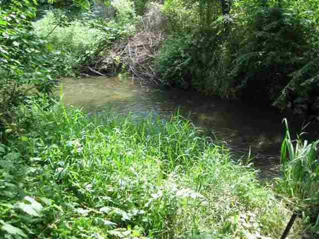 400 E Spring St, Lagrange, IN 46761 photo 9