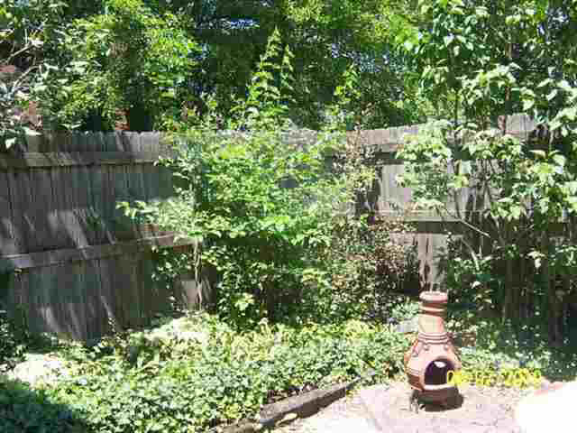 302 N Cedar St, Auburn, IN 46706 photo 4