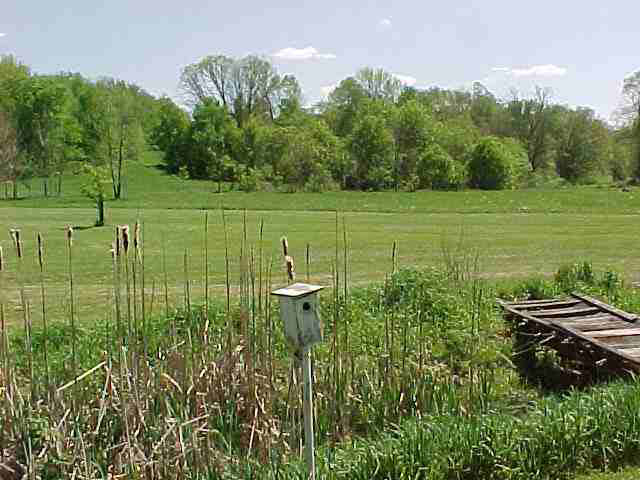 5298 E Baseline Rd, Avilla, IN 46710 photo 5