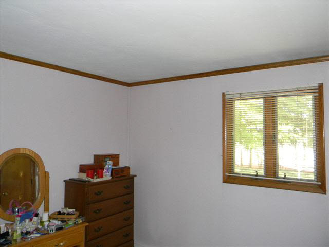 980 N Townline Rd, Lagrange, IN 46761 photo 20