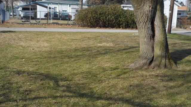 519 N State St, Kendallville, IN 46755 photo 12