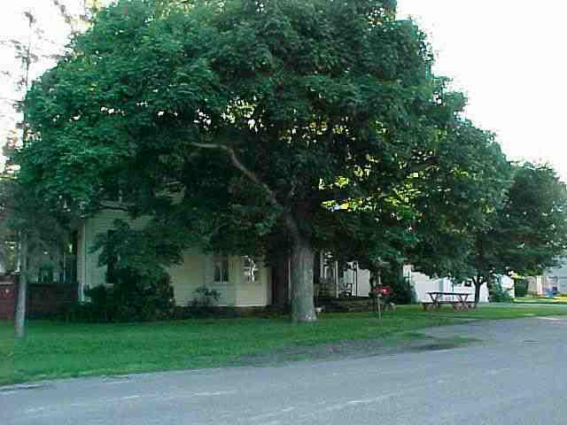 101 Wayne St, Howe, IN 46746 photo 2