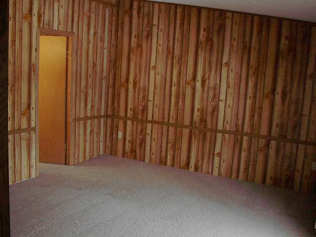 205 Union St, Ashley, IN 46705 photo 8