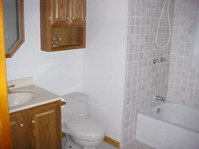 1328 S Randolph St, Garrett, IN 46738 photo 9