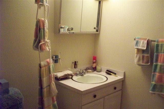 1735 N 075 E, Lagrange, IN 46761 photo 21