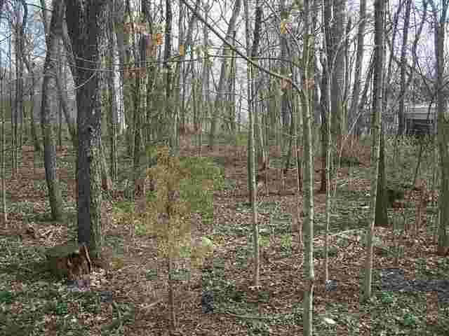 4105 N 215 E, Howe, IN 46746 photo 6