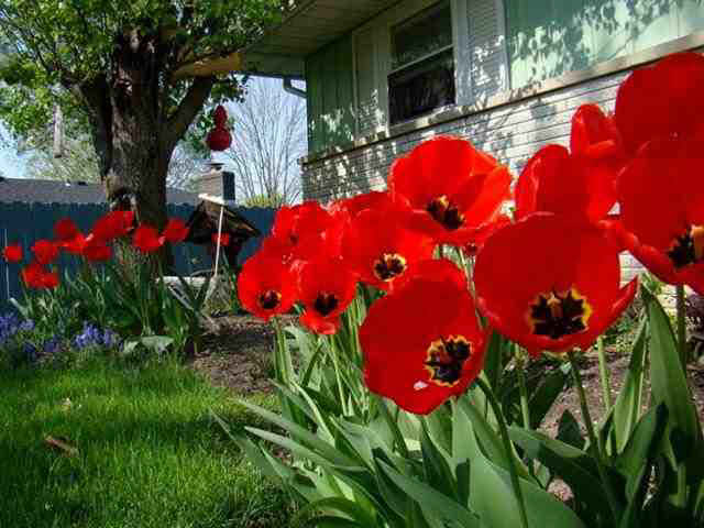 6015 Goodfellow Dr, Fort Wayne, IN 46835 photo 3