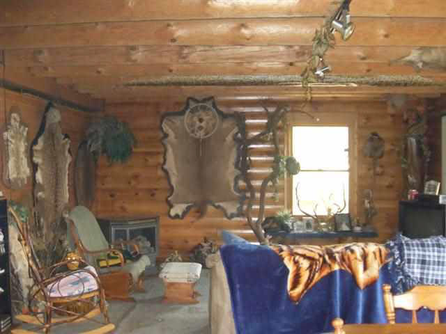 6833 Front St, Spencerville, IN 46788 photo 9