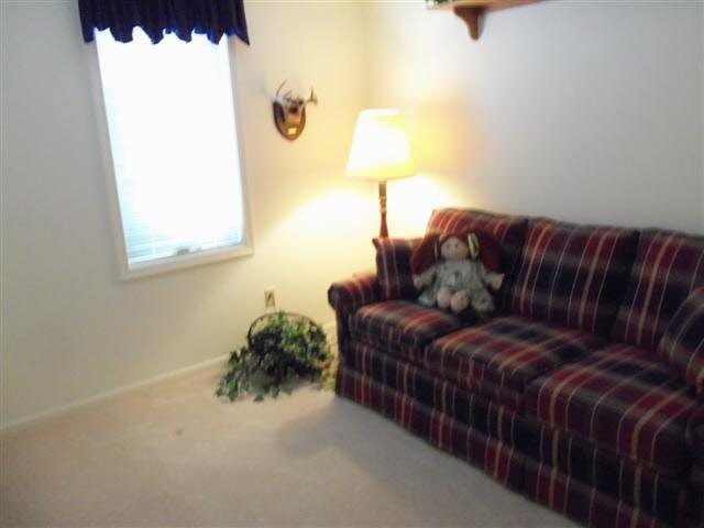 1101 Zimmerman Dr, Auburn, IN 46706 photo 8