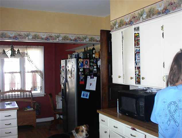 437 N Park Ave, Kendallville, IN 46755 photo 3