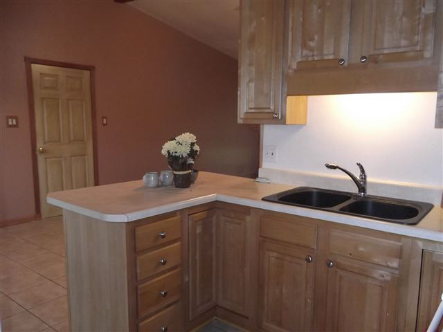 13 Thornwood Dr, Garrett, IN 46738 photo 4