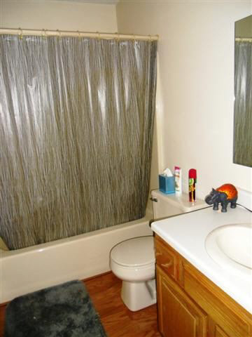 209 Knoll Ridge Blvd, Kendallville, IN 46755 photo 10