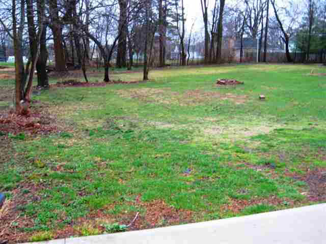 428 E Diamond St, Kendallville, IN 46755 photo 6