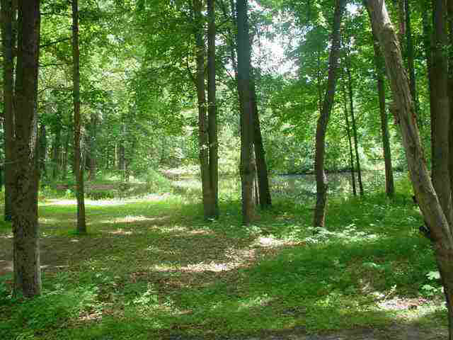 5630 E 250n, Lagrange, IN 46761 photo 3