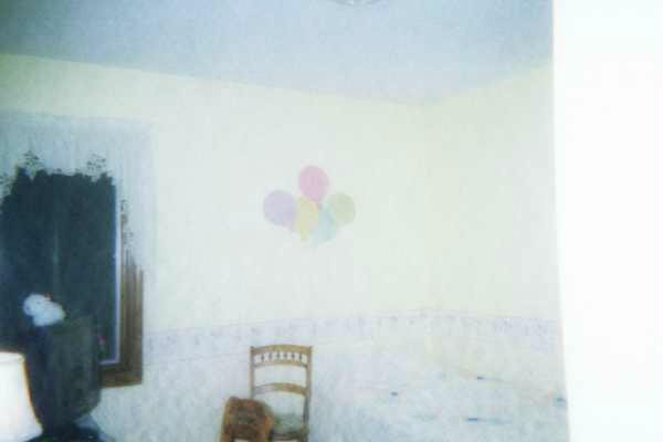 1117 Zimmerman Dr, Auburn, IN 46706 photo 7