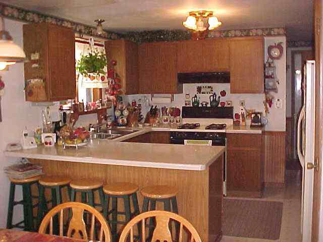 307 Wright St, Ligonier, IN 46767 photo 2