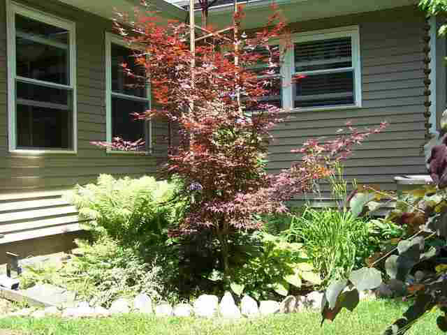 403 W North St, Lagrange, IN 46761 photo 19
