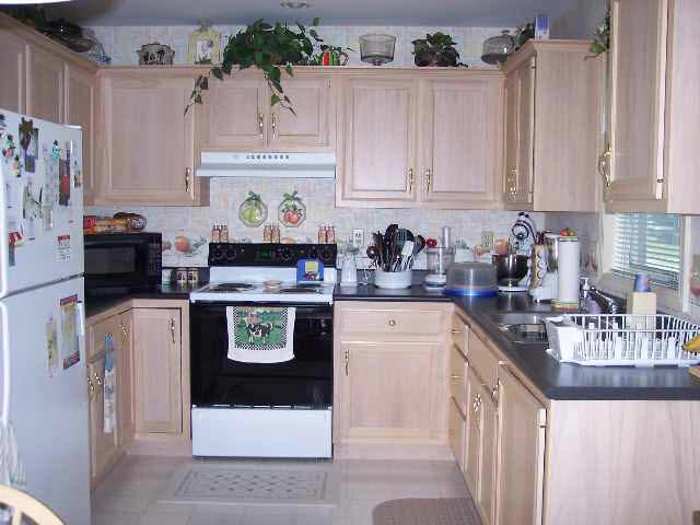 1005 Ashwood Dr, Auburn, IN 46706 photo 2