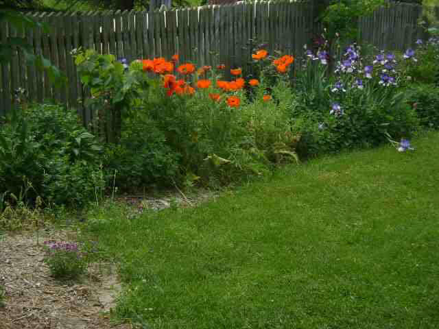 3930 S 600 E, Hamilton, IN 46742 photo 4