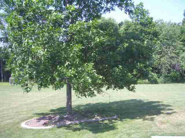 2111 Laforge Ln, Auburn, IN 46706 photo 9