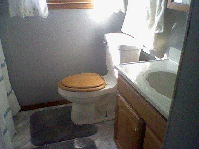 3309 County Road 53, Butler, IN 46721 photo 10