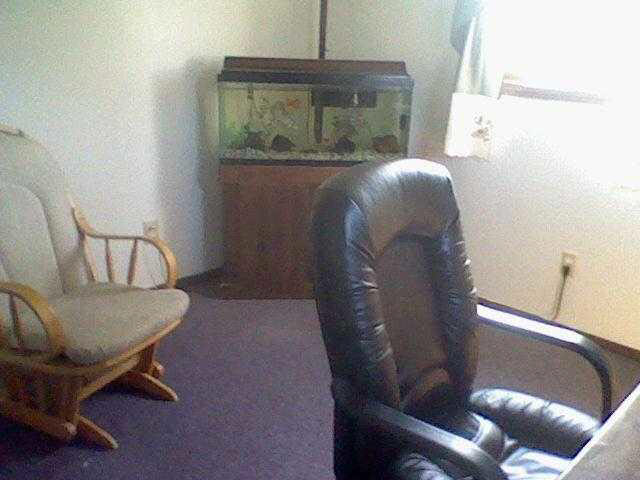 3309 County Road 53, Butler, IN 46721 photo 13