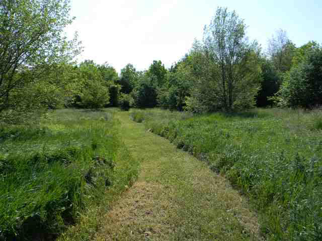 3790 E Us 20, Lagrange, IN 46761 photo 7