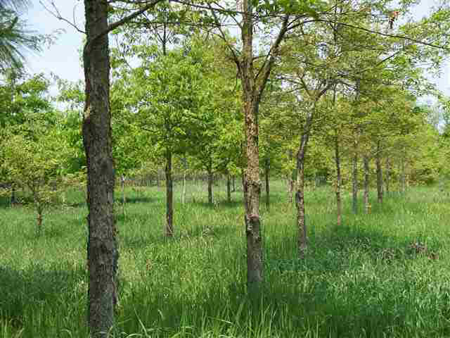 7660 E 750 N Fennell Lk, Howe, IN 46746 photo 3
