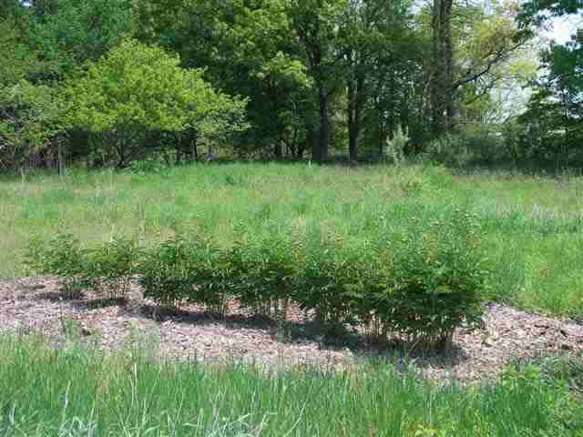 7660 E 750 N Fennell Lk, Howe, IN 46746 photo 4