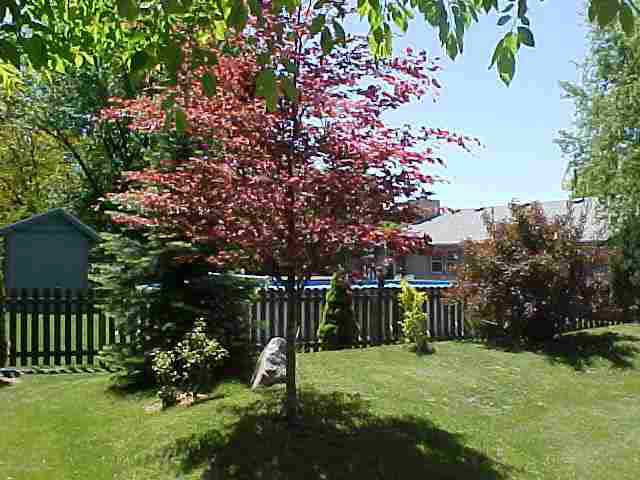 316 Iwo St, Auburn, IN 46706 photo 4