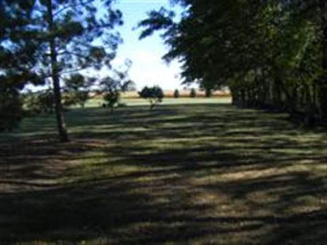 0864 County Road 35, Ashley, IN 46705 photo 13