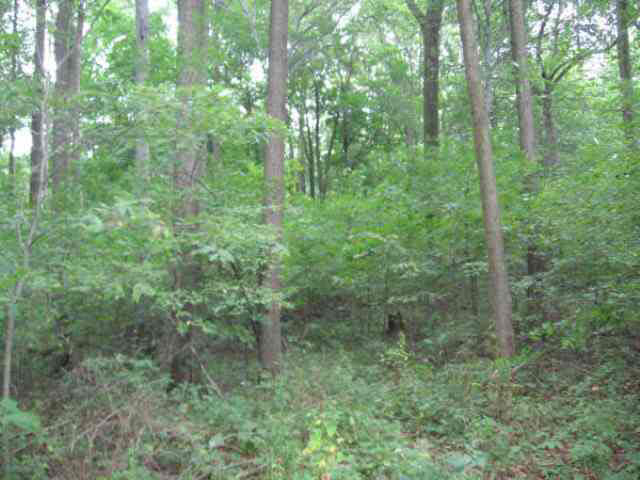 4009 E Baseline Rd, Albion, IN 46701 photo 3