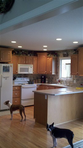 300 Cobblers Way, Waterloo, IN 46793 photo 7