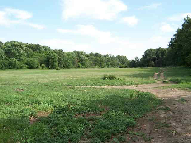 4512 County Road 4, Waterloo, IN 46793 photo 5