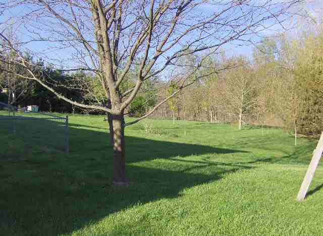 0775 N 150 E, Lagrange, IN 46761 photo 3