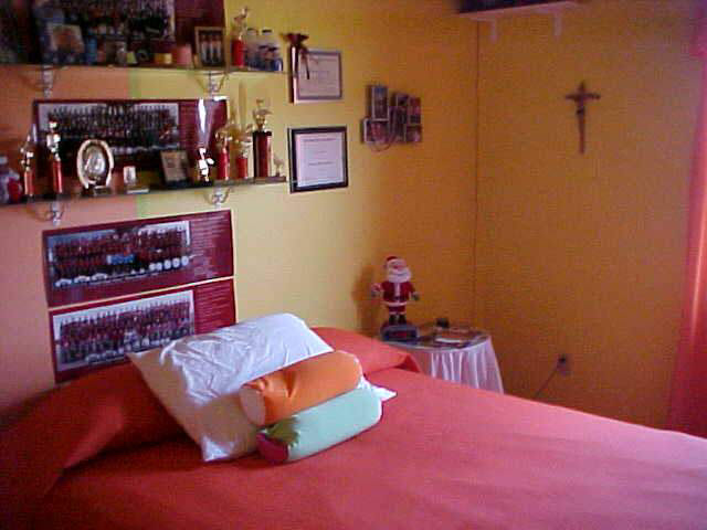 3753 Emilie Ln, Auburn, IN 46706 photo 7