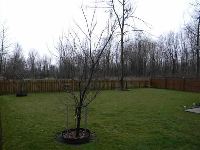 1575 S 485 E, Lagrange, IN 46761 photo 6