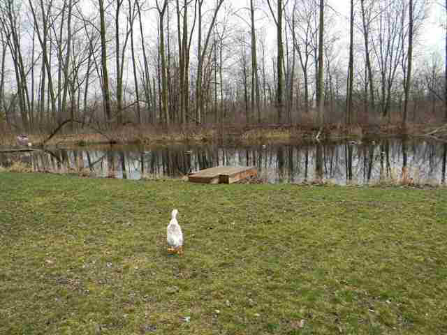 1575 S 485 E, Lagrange, IN 46761 photo 8