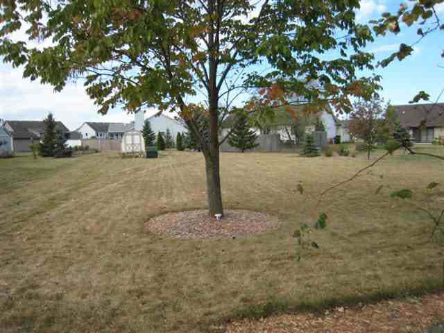 1307 Elm St, Auburn, IN 46706 photo 20