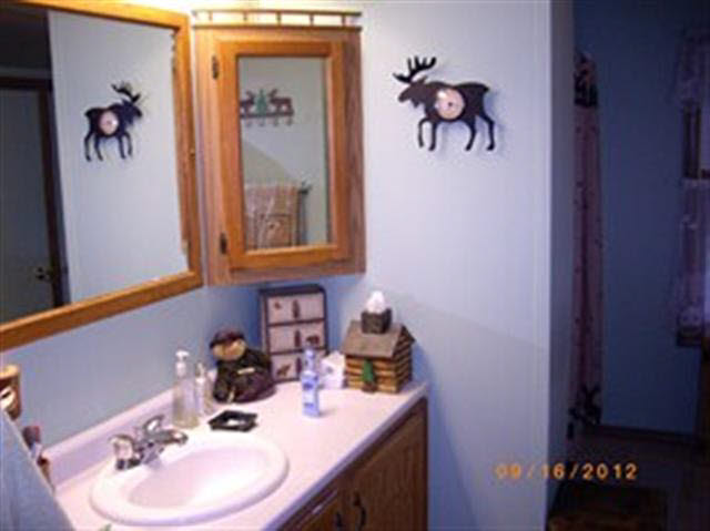 1040 Lane 201 Ball Lk, Hamilton, IN 46742 photo 8
