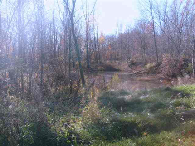 6400 County Road 20, Butler, IN 46721 photo 19