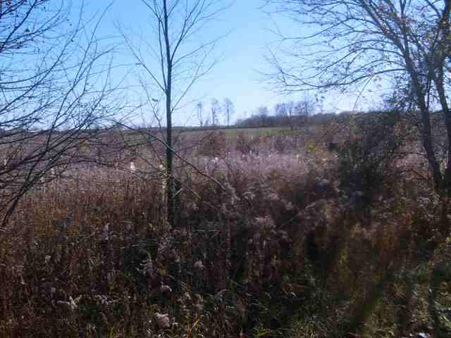 6400 County Road 20, Butler, IN 46721 photo 22