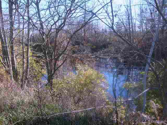 6400 County Road 20, Butler, IN 46721 photo 18
