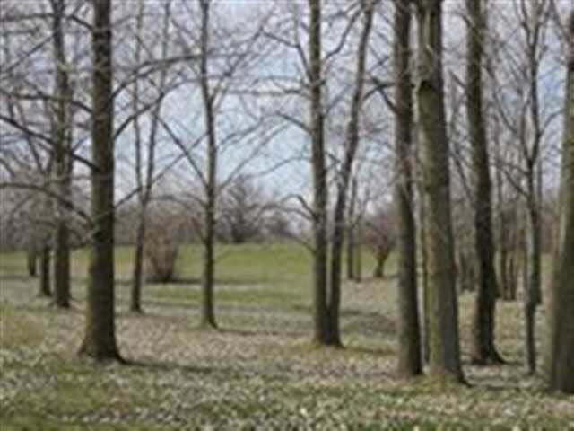 6030 County Road 39, Auburn, IN 46706 photo 21