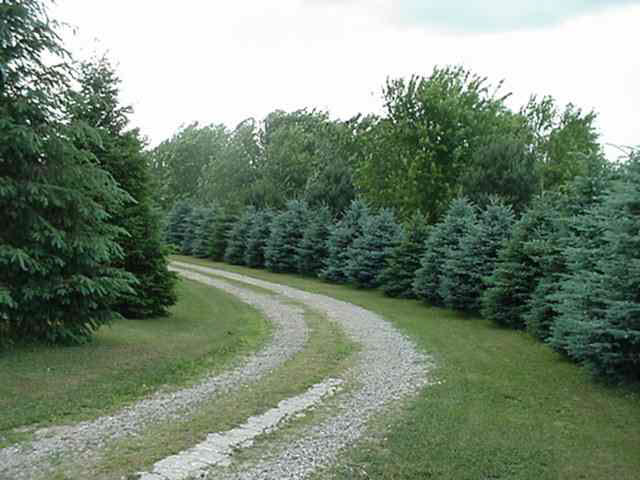 0275 S 200 E, Lagrange, IN 46761 photo 4