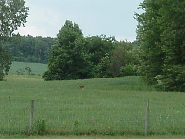 0275 S 200 E, Lagrange, IN 46761 photo 8