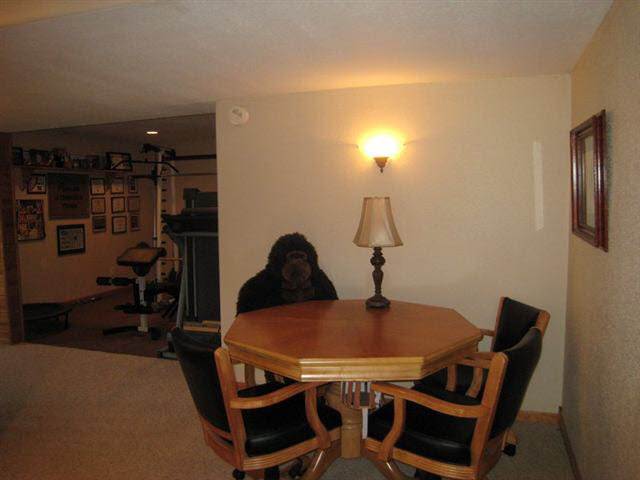 3488 County Road 24, Waterloo, IN 46793 photo 17