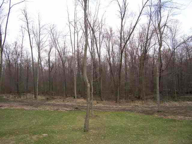 3055 County Road 39, Waterloo, IN 46793 photo 9
