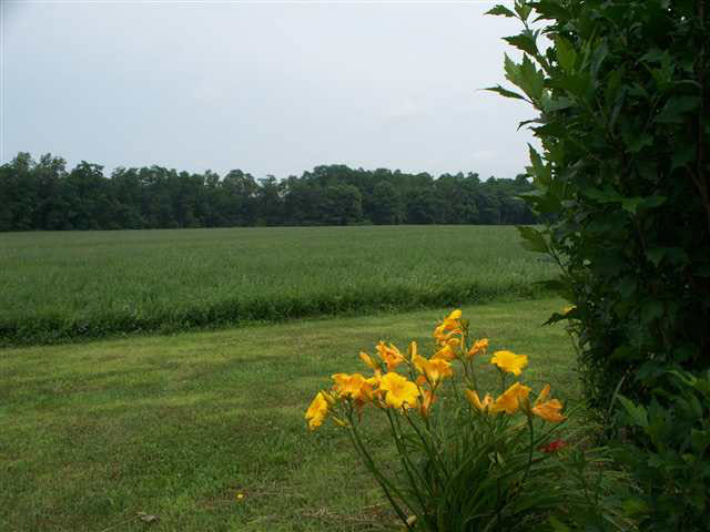 2405 E 050 N, Lagrange, IN 46761 photo 10