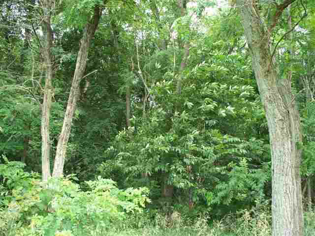 2405 E 050 N, Lagrange, IN 46761 photo 8